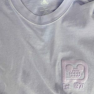 Disney spirit jersey